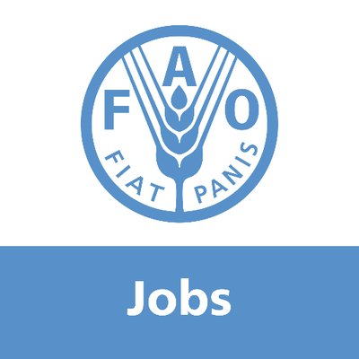 JOBS FAO